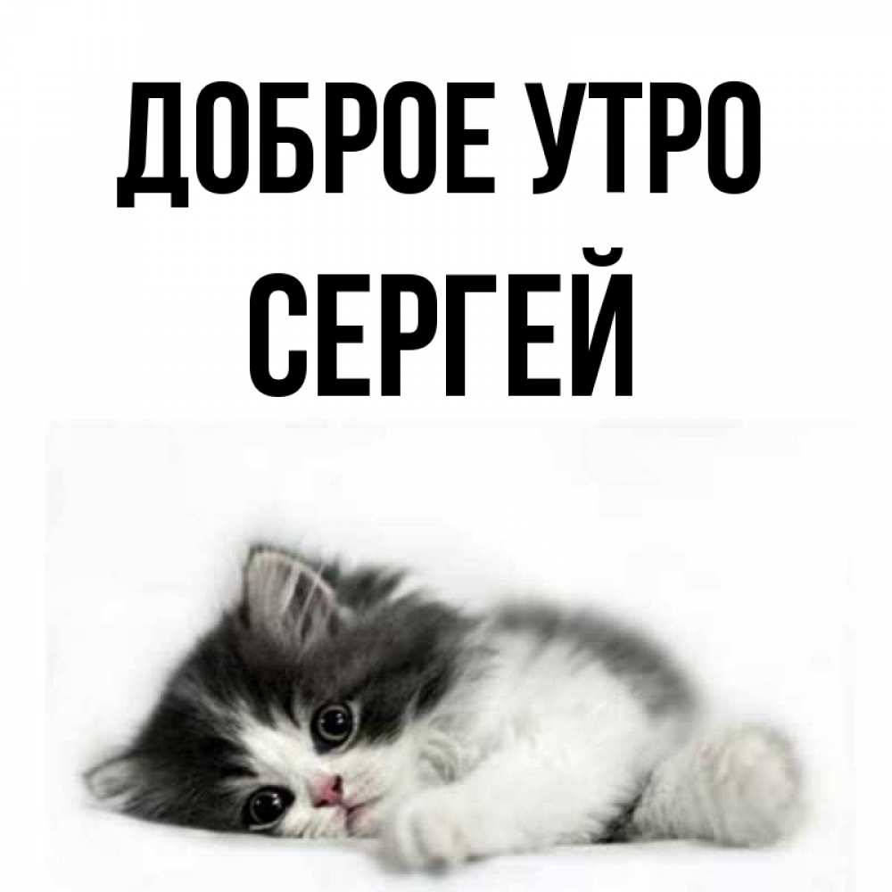 Сергей Утрам