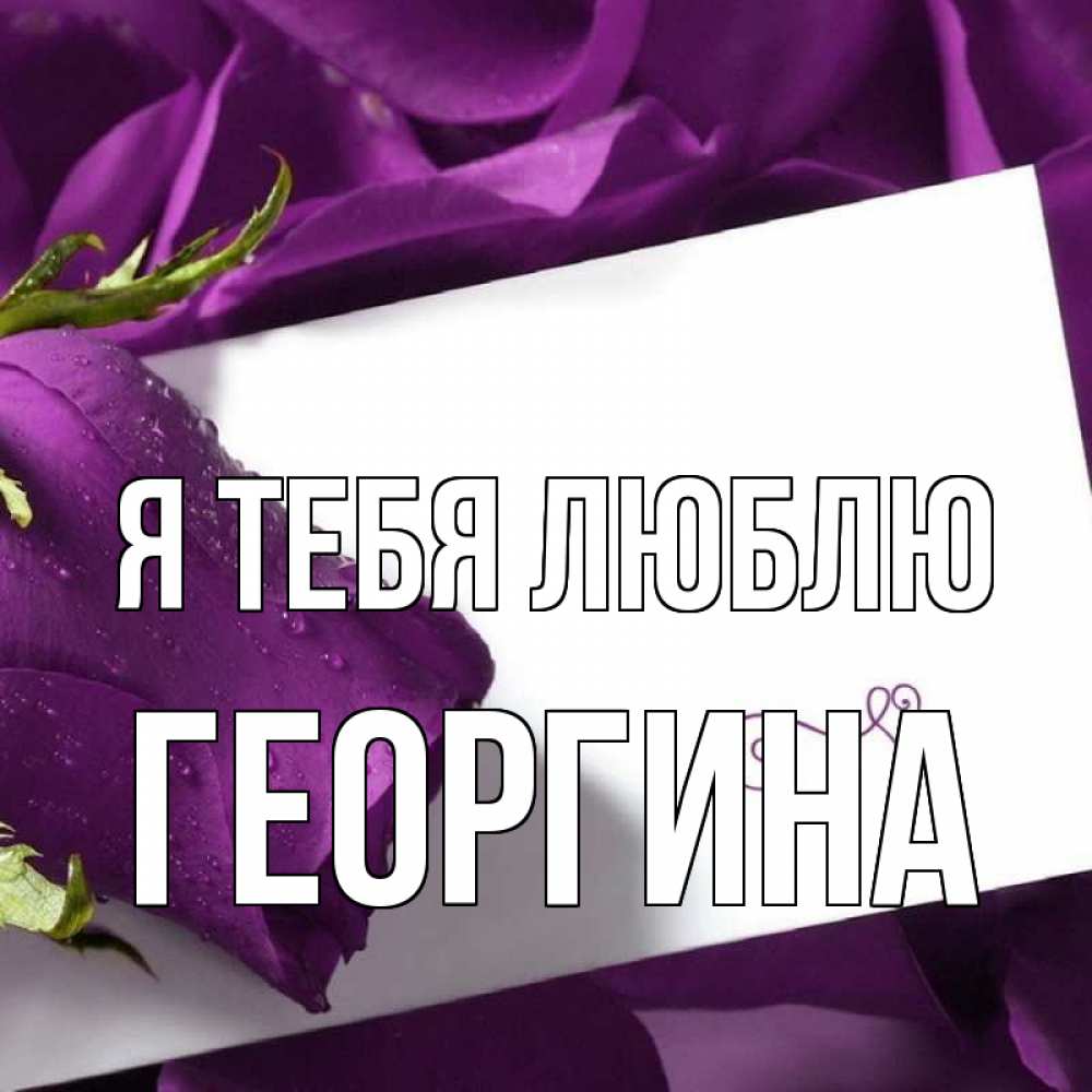 Открытка на каждый день с именем, Георгина Я тебя люблю роза Прикольная открытка с пожеланием онлайн скачать бесплатно 
