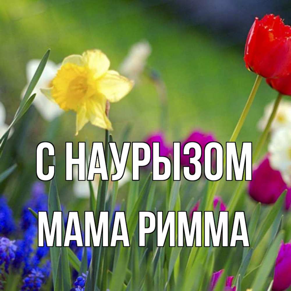 Открытка на каждый день с именем, Мама-Римма С наурызом праздник весны наурыз 3 Прикольная открытка с пожеланием онлайн скачать бесплатно 