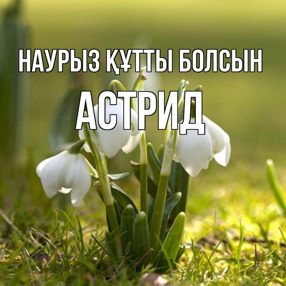 Открытка на каждый день с именем, Астрид Наурыз құтты болсын ранние цветы 2 Прикольная открытка с пожеланием онлайн скачать бесплатно 