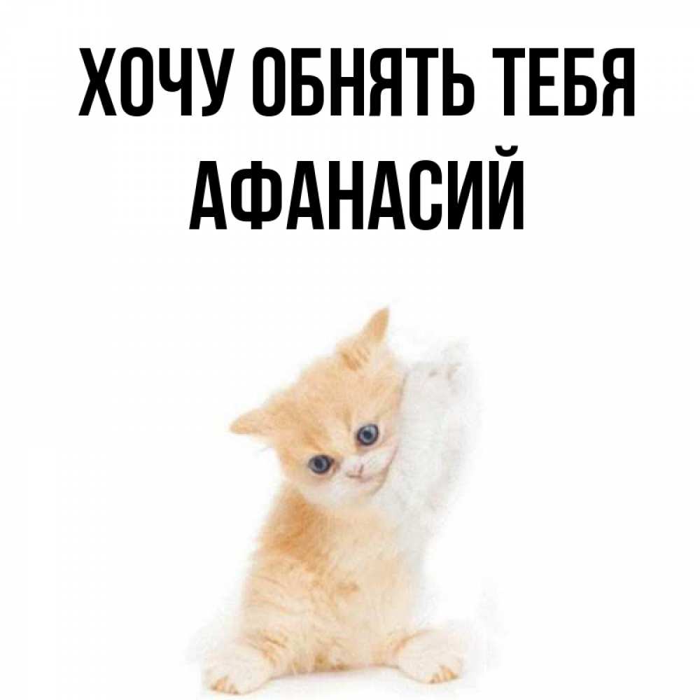 Открытка на каждый день с именем, Афанасий Хочу обнять тебя я хочу очень скорее обнимаешек Прикольная открытка с пожеланием онлайн скачать бесплатно 