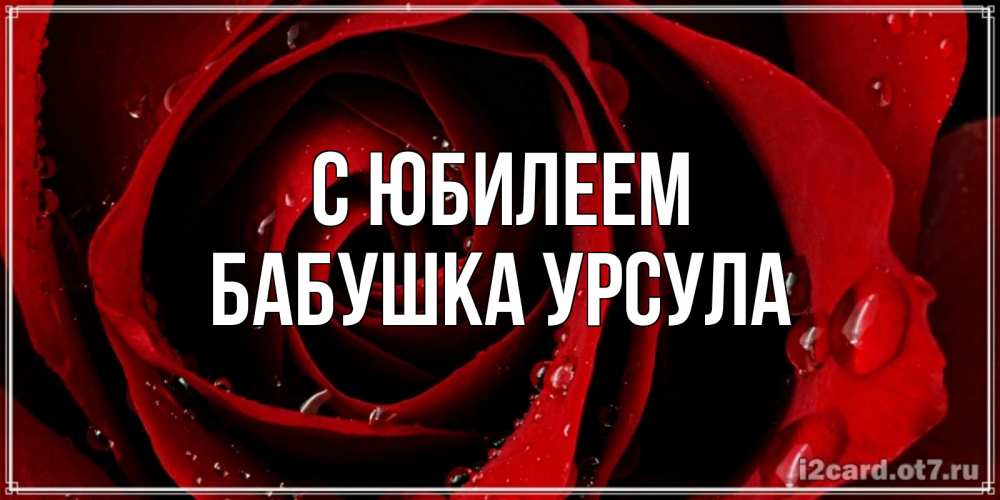 Открытка на каждый день с именем, Бабушка-Урсула С юбилеем крупная бордовая роза Прикольная открытка с пожеланием онлайн скачать бесплатно 