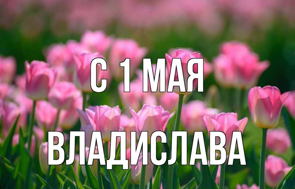 Открытка на каждый день с именем, Владислава С 1 мая С 1 мая Прикольная открытка с пожеланием онлайн скачать бесплатно 