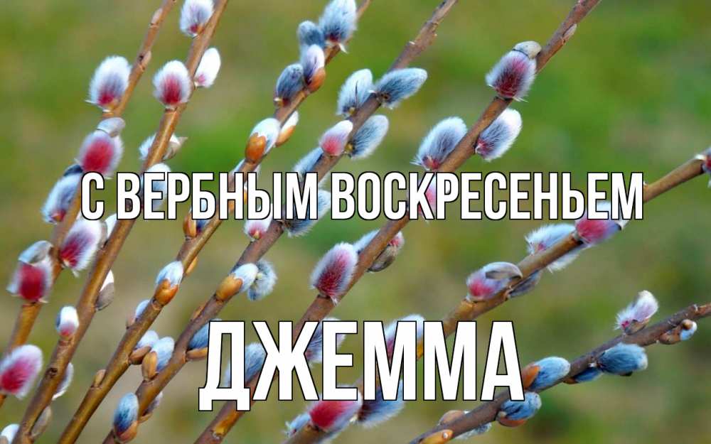 Открытка на каждый день с именем, Джемма С вербным воскресеньем верба Прикольная открытка с пожеланием онлайн скачать бесплатно 