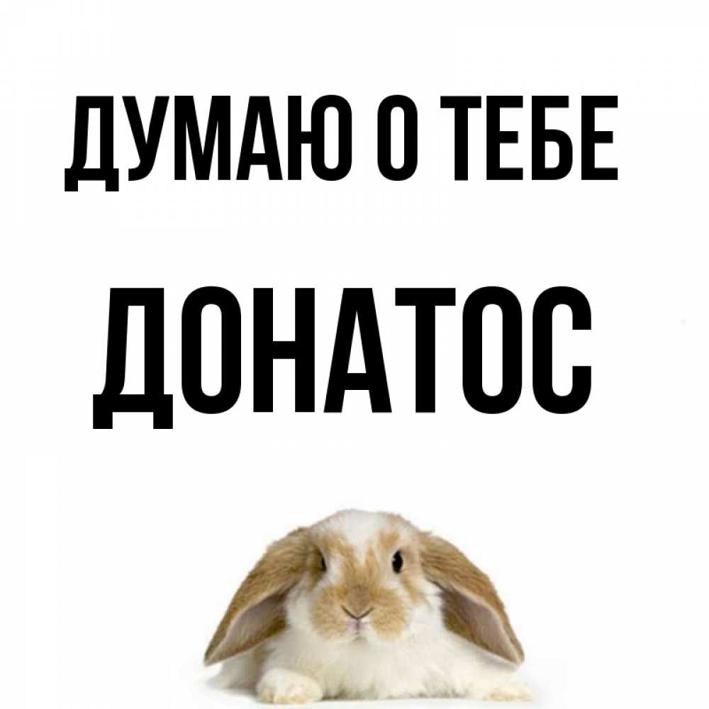 Открытка на каждый день с именем, Донатос Думаю о тебе подписать своими руками онлайн Прикольная открытка с пожеланием онлайн скачать бесплатно 