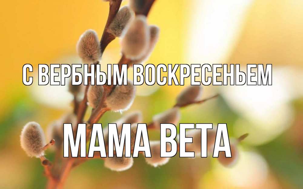 Открытка на каждый день с именем, Мама-Вета С вербным воскресеньем верба Прикольная открытка с пожеланием онлайн скачать бесплатно 