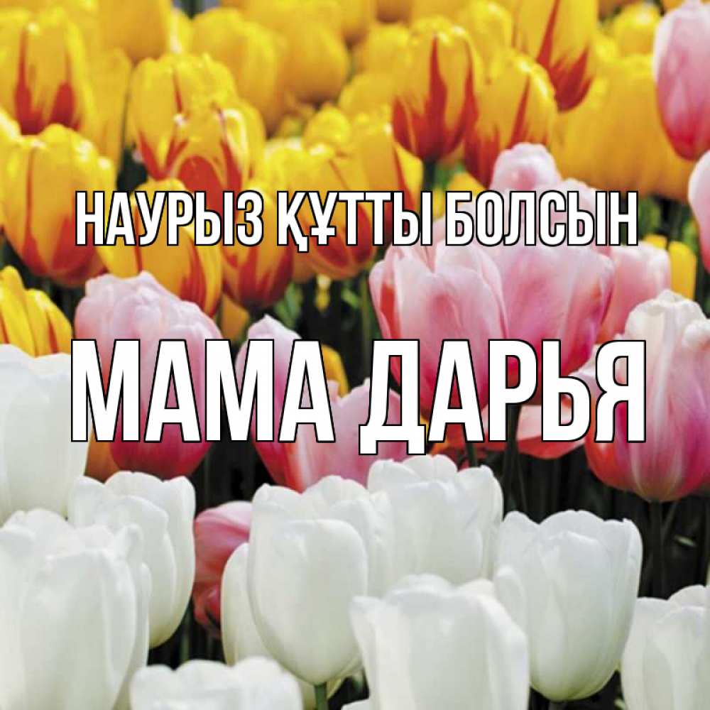 Открытка на каждый день с именем, Мама-Дарья Наурыз құтты болсын разноцветные цветы Прикольная открытка с пожеланием онлайн скачать бесплатно 
