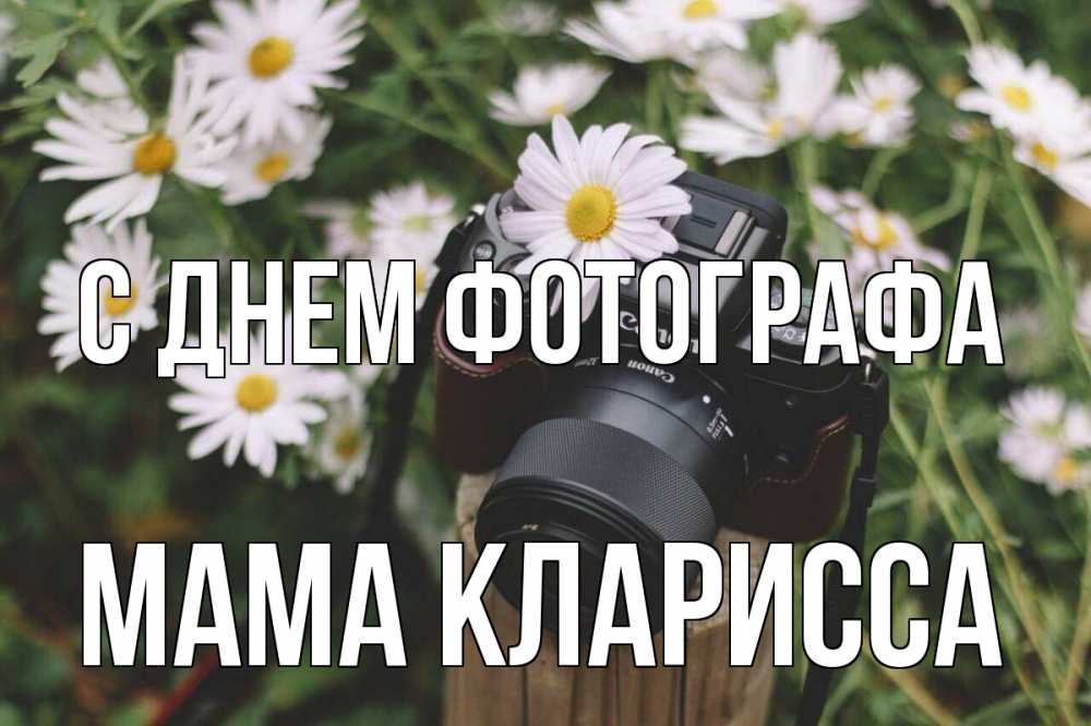 Открытка на каждый день с именем, Мама-Кларисса С днем фотографа с днем фотографа Прикольная открытка с пожеланием онлайн скачать бесплатно 