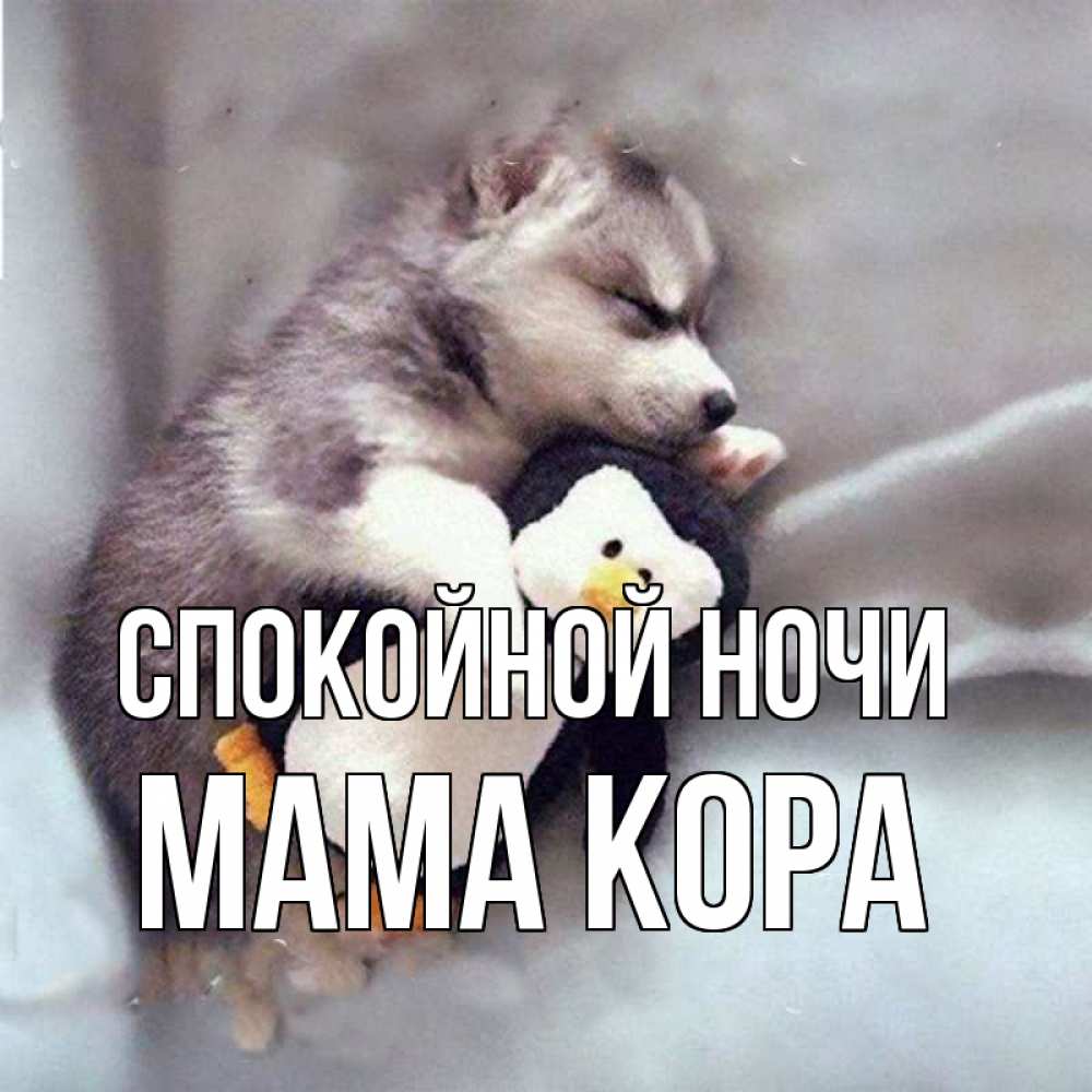 Открытка на каждый день с именем, Мама-Кора Спокойной ночи обнимашки щенка и пингвина Прикольная открытка с пожеланием онлайн скачать бесплатно 