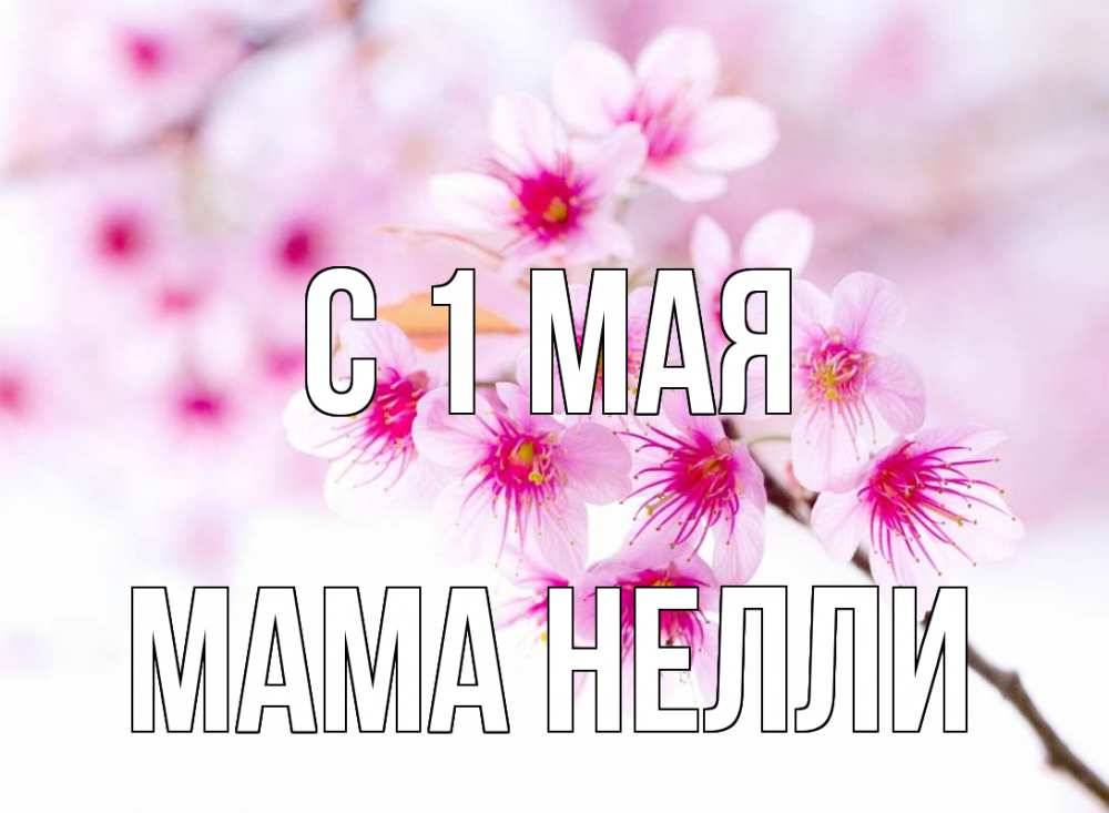 Открытка на каждый день с именем, Мама-Нелли С 1 мая С 1 мая 2 Прикольная открытка с пожеланием онлайн скачать бесплатно 