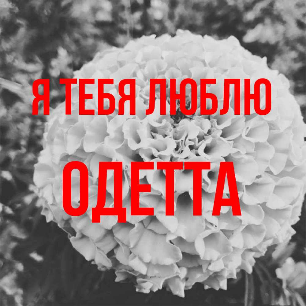 Открытка на каждый день с именем, Одетта Я тебя люблю подпись Прикольная открытка с пожеланием онлайн скачать бесплатно 