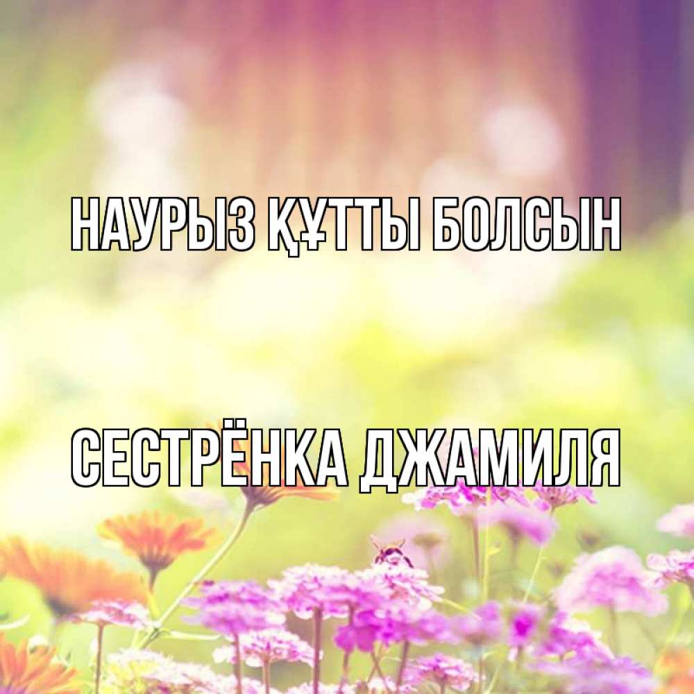 Открытка на каждый день с именем, Сестрёнка-Джамиля Наурыз құтты болсын цветы весна Прикольная открытка с пожеланием онлайн скачать бесплатно 