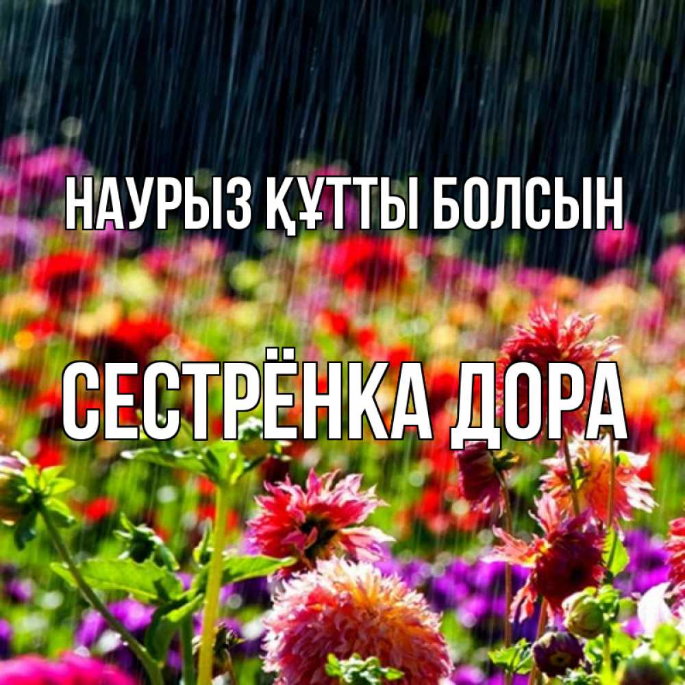 Открытка на каждый день с именем, Сестрёнка-Дора Наурыз құтты болсын цветы под дождиком к наурызу Прикольная открытка с пожеланием онлайн скачать бесплатно 
