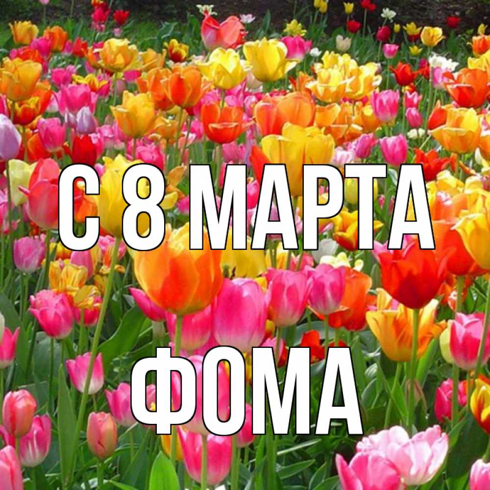 Открытка на каждый день с именем, Фома С 8 МАРТА на международный женский день Прикольная открытка с пожеланием онлайн скачать бесплатно 
