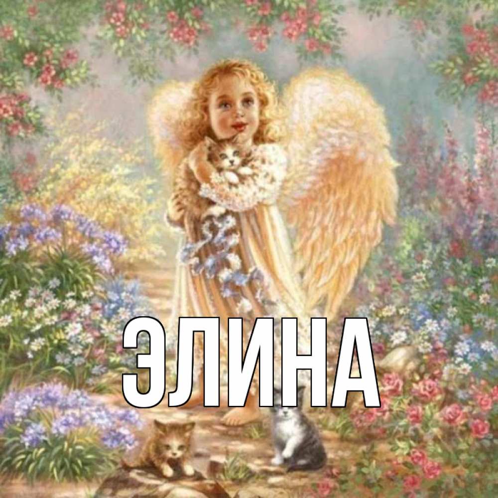 Открытка на каждый день с именем, Элина Главная держит котенка Прикольная открытка с пожеланием онлайн скачать бесплатно 