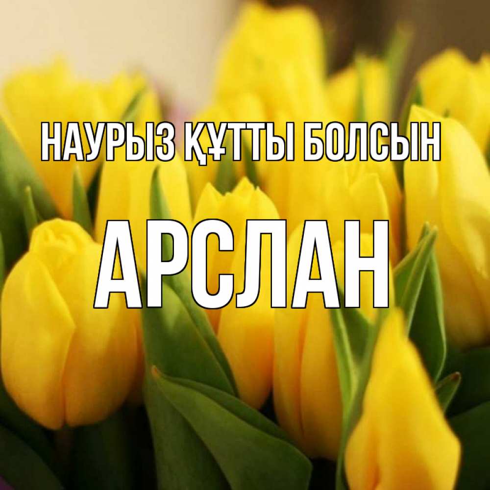 Открытка на каждый день с именем, Арслан Наурыз құтты болсын цветы Прикольная открытка с пожеланием онлайн скачать бесплатно 