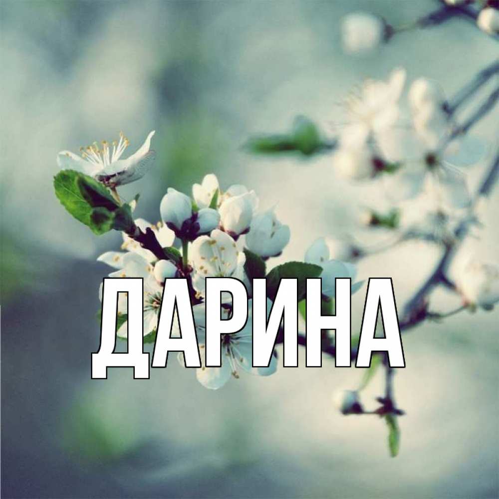 Открытка на каждый день с именем, Дарина Главная весна Прикольная открытка с пожеланием онлайн скачать бесплатно 
