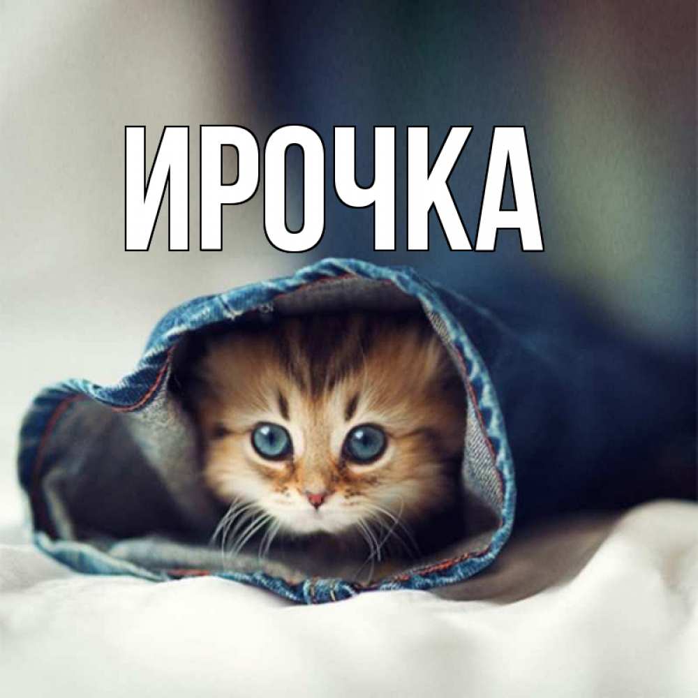 Картинка  с именем , ирочка