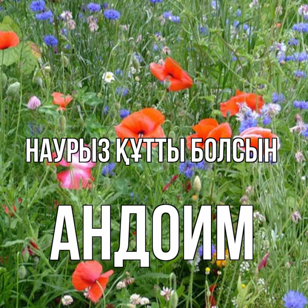 Открытка на каждый день с именем, Андоим Наурыз құтты болсын наурыз  4 Прикольная открытка с пожеланием онлайн скачать бесплатно 