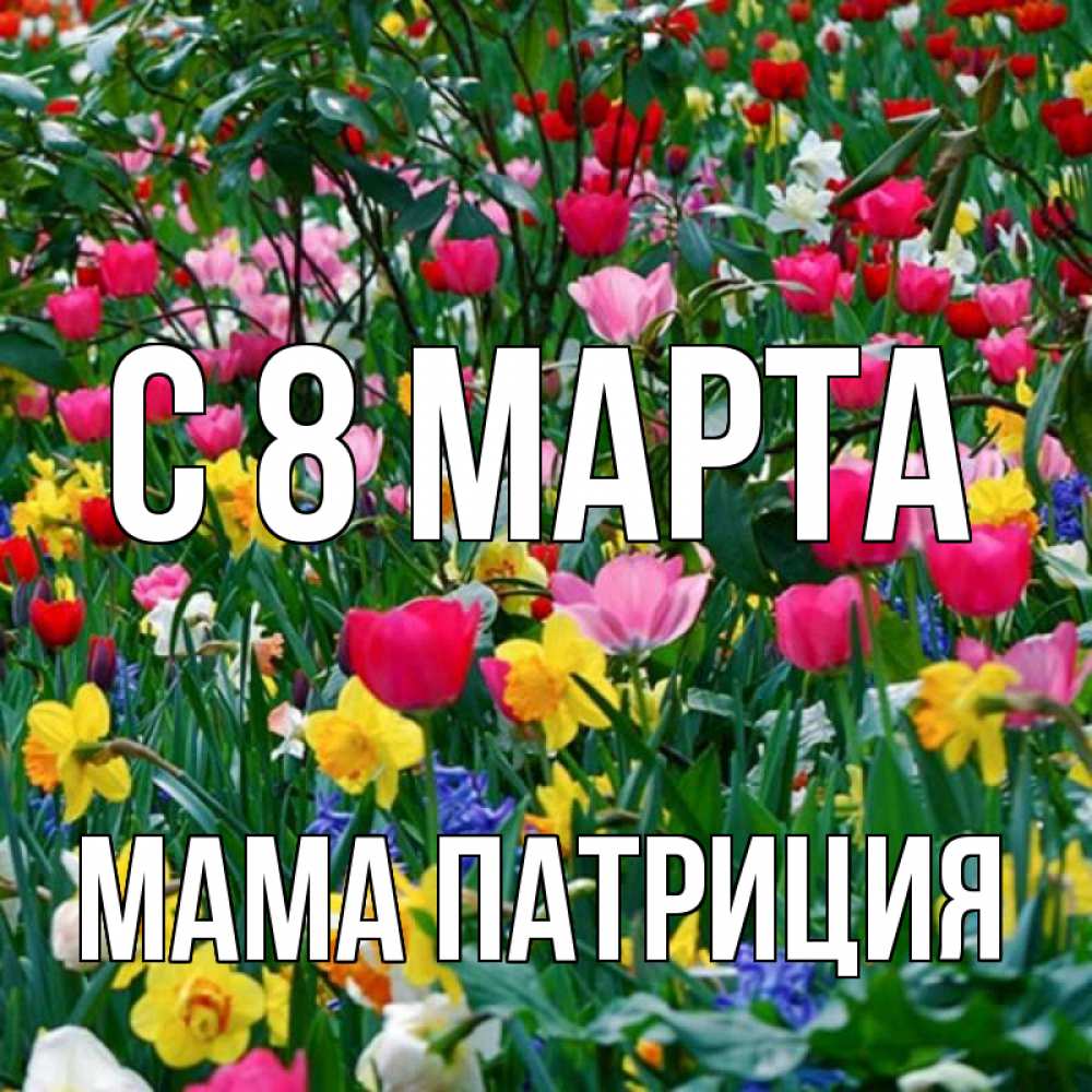 Открытка на каждый день с именем, Мама-Патриция С 8 МАРТА с международным женским днем поздравления для женщины Прикольная открытка с пожеланием онлайн скачать бесплатно 