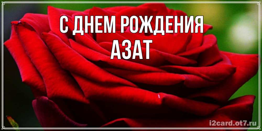 Открытка на каждый день с именем, Азат С днем рождения розочка очень красивая Прикольная открытка с пожеланием онлайн скачать бесплатно 