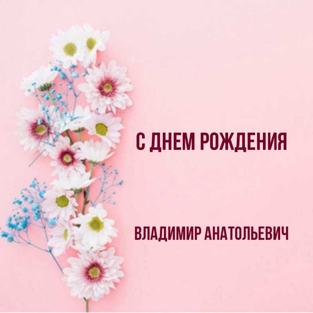 Открытка на каждый день с именем, Владимир-Анатольевич С днем рождения Родная моя с днем рождения тебя картинка с цветами белыми и голубыми Прикольная открытка с пожеланием онлайн скачать бесплатно 