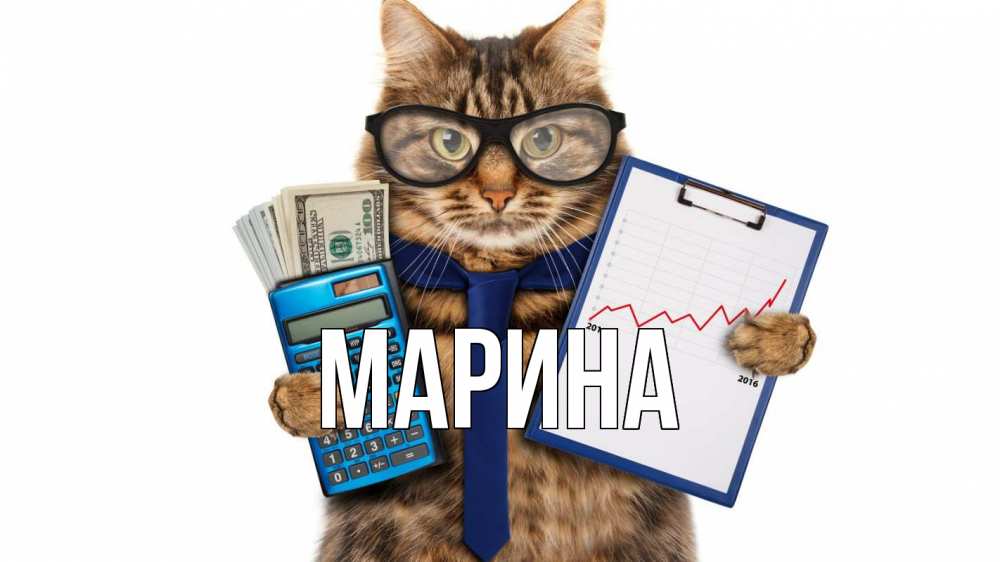 Открытка на каждый день с именем, Марина Главная с днем бухгалтера Прикольная открытка с пожеланием онлайн скачать бесплатно 