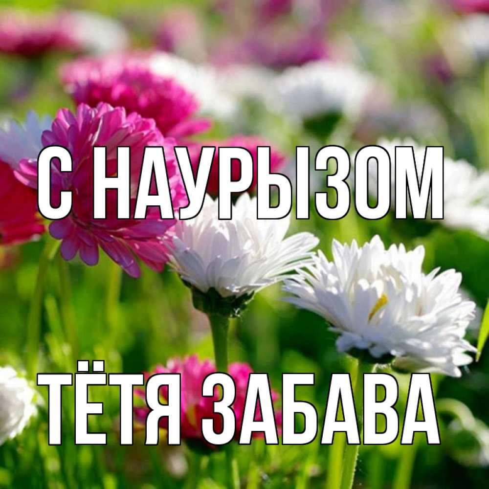 Открытка на каждый день с именем, Тётя-Забава С наурызом праздник весны наурыз красота Прикольная открытка с пожеланием онлайн скачать бесплатно 