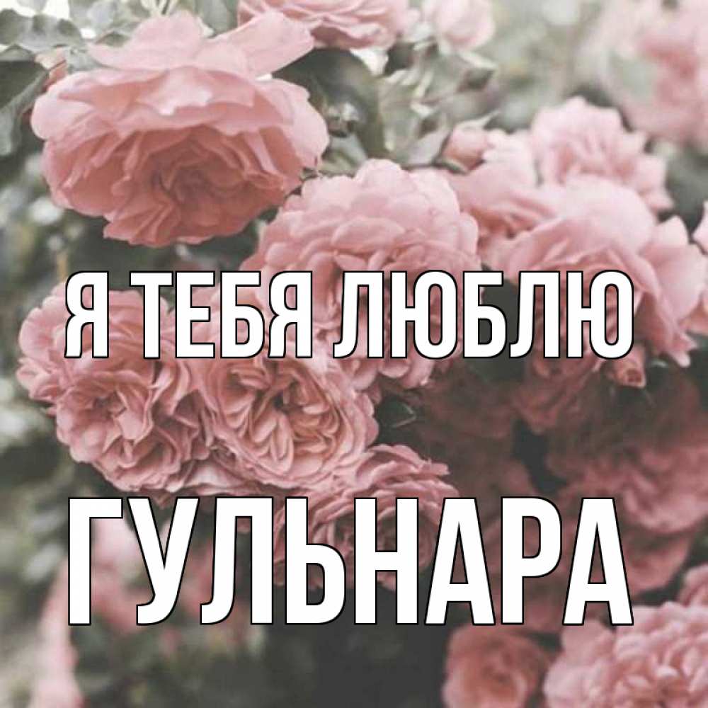 Открытка на каждый день с именем, Гульнара Я тебя люблю розы 3 Прикольная открытка с пожеланием онлайн скачать бесплатно 
