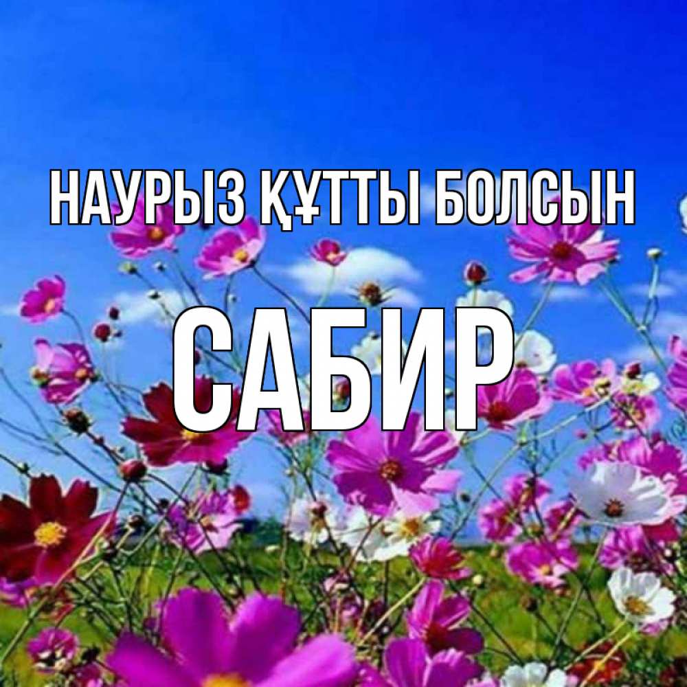 Открытка на каждый день с именем, Сабир Наурыз құтты болсын цветы Прикольная открытка с пожеланием онлайн скачать бесплатно 