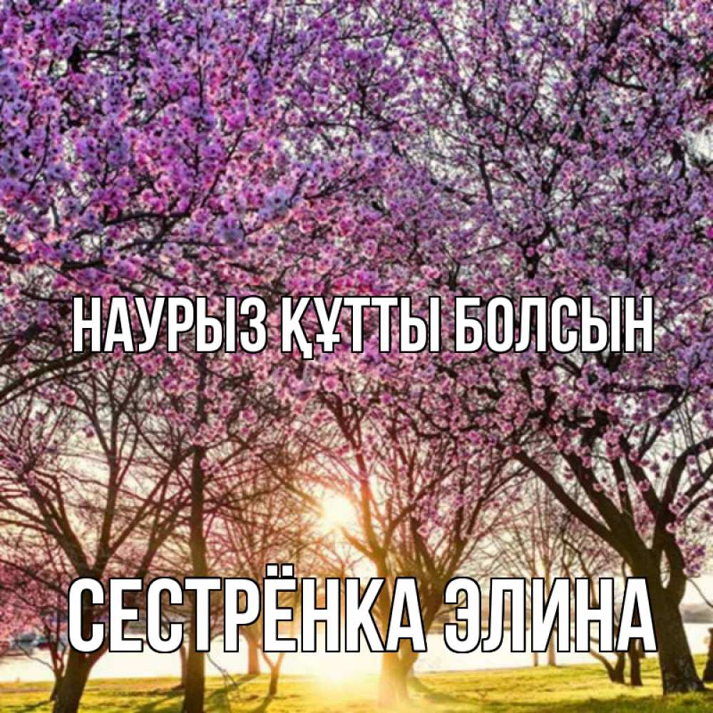 Открытка на каждый день с именем, Сестрёнка-Элина Наурыз құтты болсын наурыз Прикольная открытка с пожеланием онлайн скачать бесплатно 