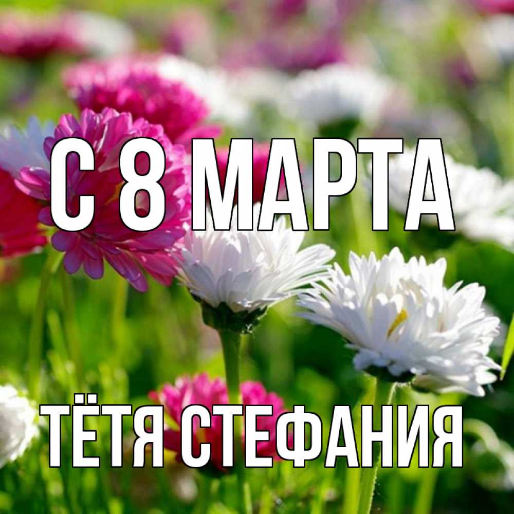 Открытка на каждый день с именем, Тётя-Стефания С 8 МАРТА международный женский день 1 Прикольная открытка с пожеланием онлайн скачать бесплатно 
