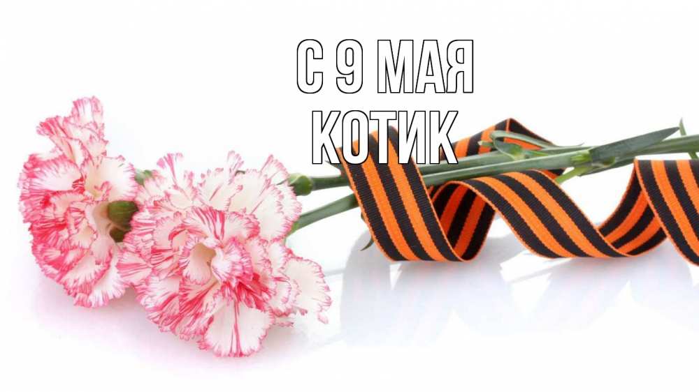 Картинка С 9 мая, котик