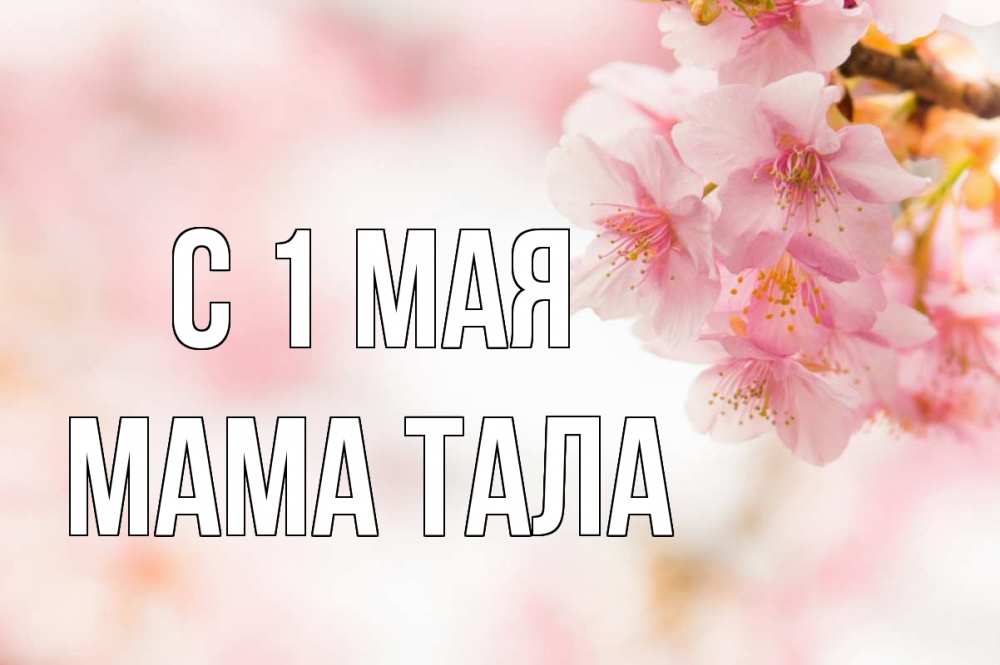 Открытка на каждый день с именем, Мама-Тала С 1 мая С 1 мая Прикольная открытка с пожеланием онлайн скачать бесплатно 