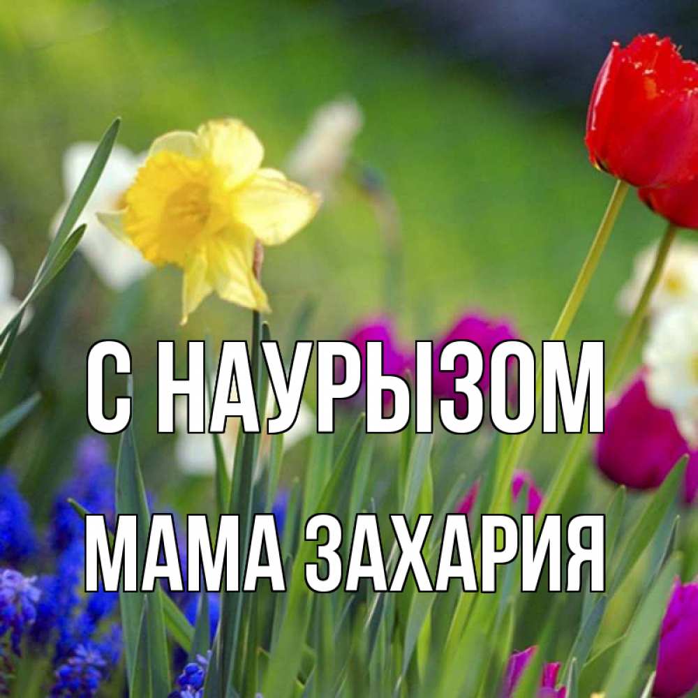 Открытка на каждый день с именем, Мама-Захария С наурызом праздник весны наурыз 3 Прикольная открытка с пожеланием онлайн скачать бесплатно 