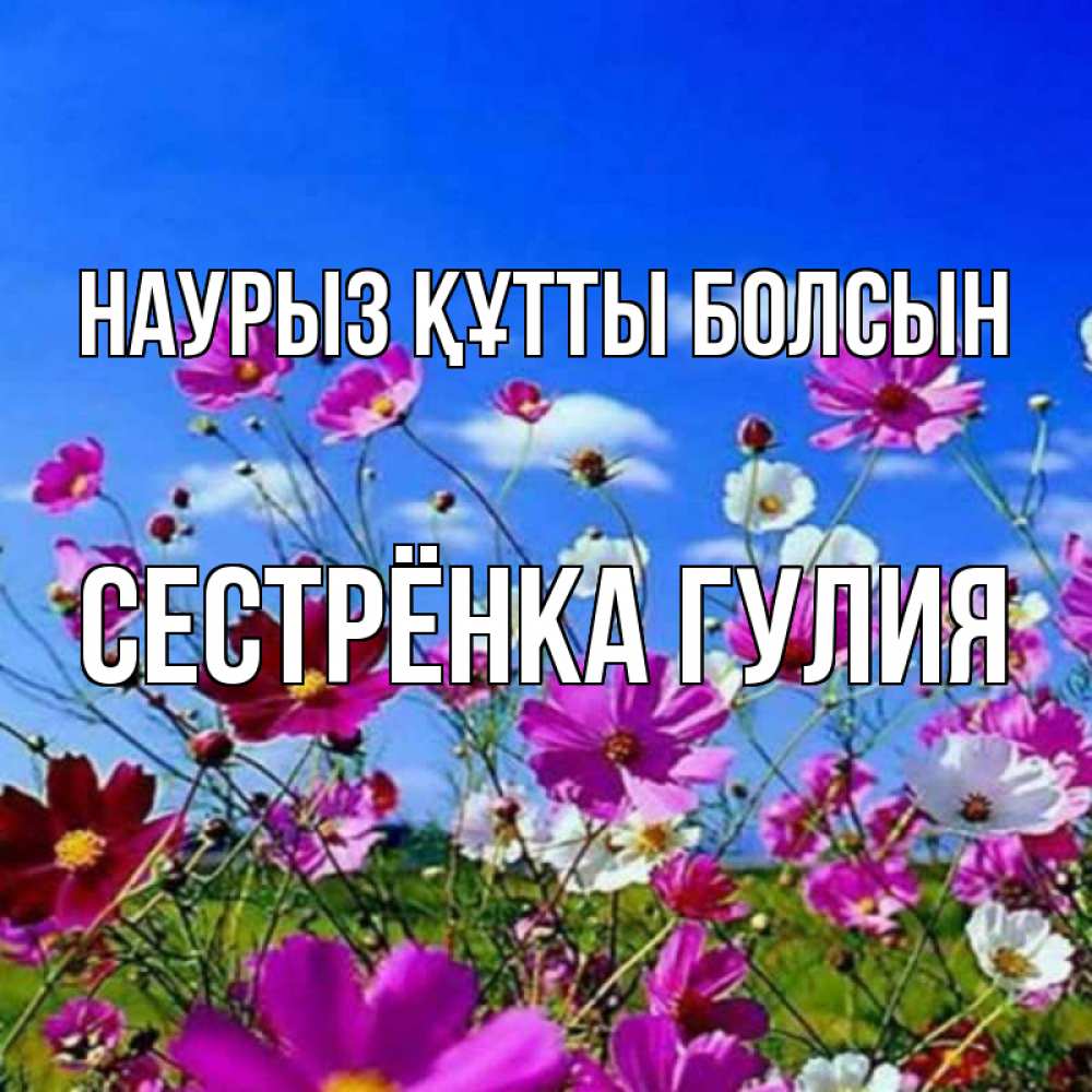 Открытка на каждый день с именем, Сестрёнка-Гулия Наурыз құтты болсын цветы Прикольная открытка с пожеланием онлайн скачать бесплатно 