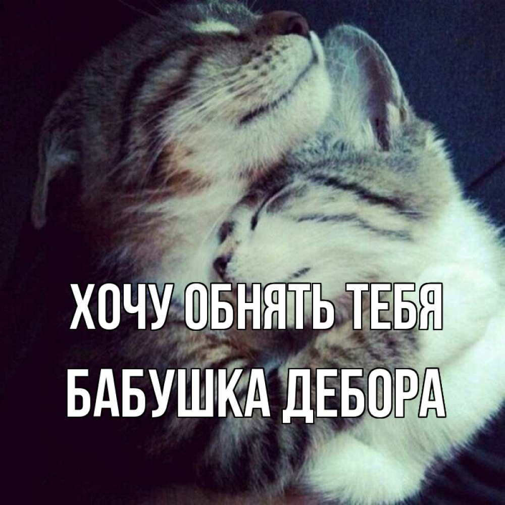 Открытка на каждый день с именем, Бабушка-Дебора Хочу обнять тебя полосатики Прикольная открытка с пожеланием онлайн скачать бесплатно 