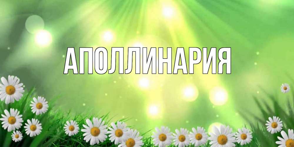 Открытка на каждый день с именем, Аполлинария Главная открытка с ромашками и солнечными лучами Прикольная открытка с пожеланием онлайн скачать бесплатно 