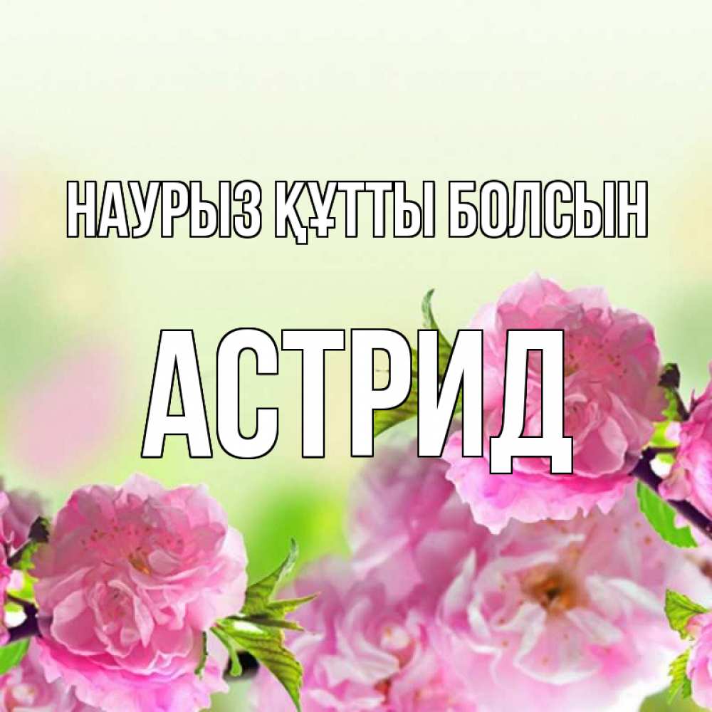 Открытка на каждый день с именем, Астрид Наурыз құтты болсын цветы Прикольная открытка с пожеланием онлайн скачать бесплатно 