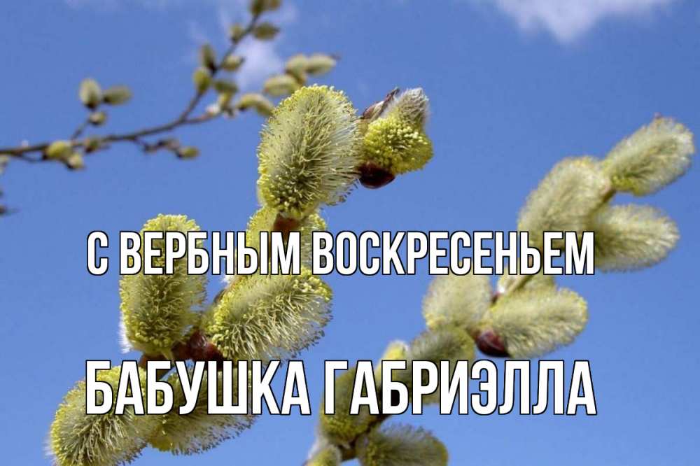 Открытка на каждый день с именем, Бабушка-Габриэлла С вербным воскресеньем верба Прикольная открытка с пожеланием онлайн скачать бесплатно 