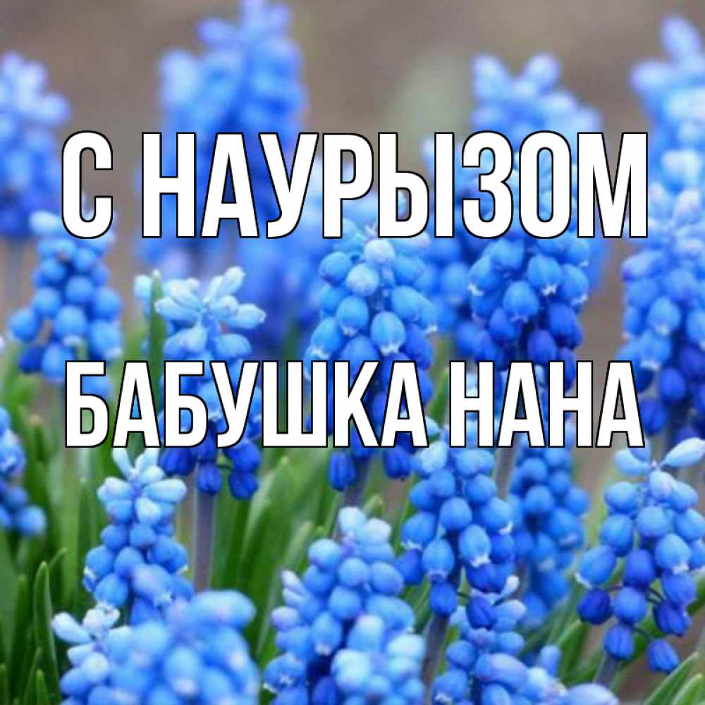 Открытка на каждый день с именем, Бабушка-Нана С наурызом Поздравительная открытка для женщин с цветами на праздничную дату Прикольная открытка с пожеланием онлайн скачать бесплатно 