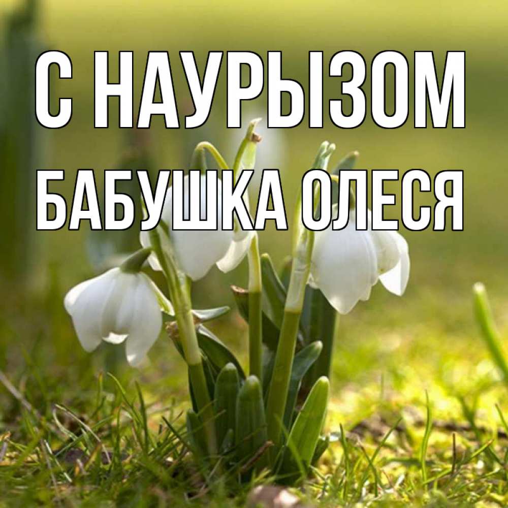 Открытка на каждый день с именем, Бабушка-Олеся С наурызом ранние цветы 2 Прикольная открытка с пожеланием онлайн скачать бесплатно 