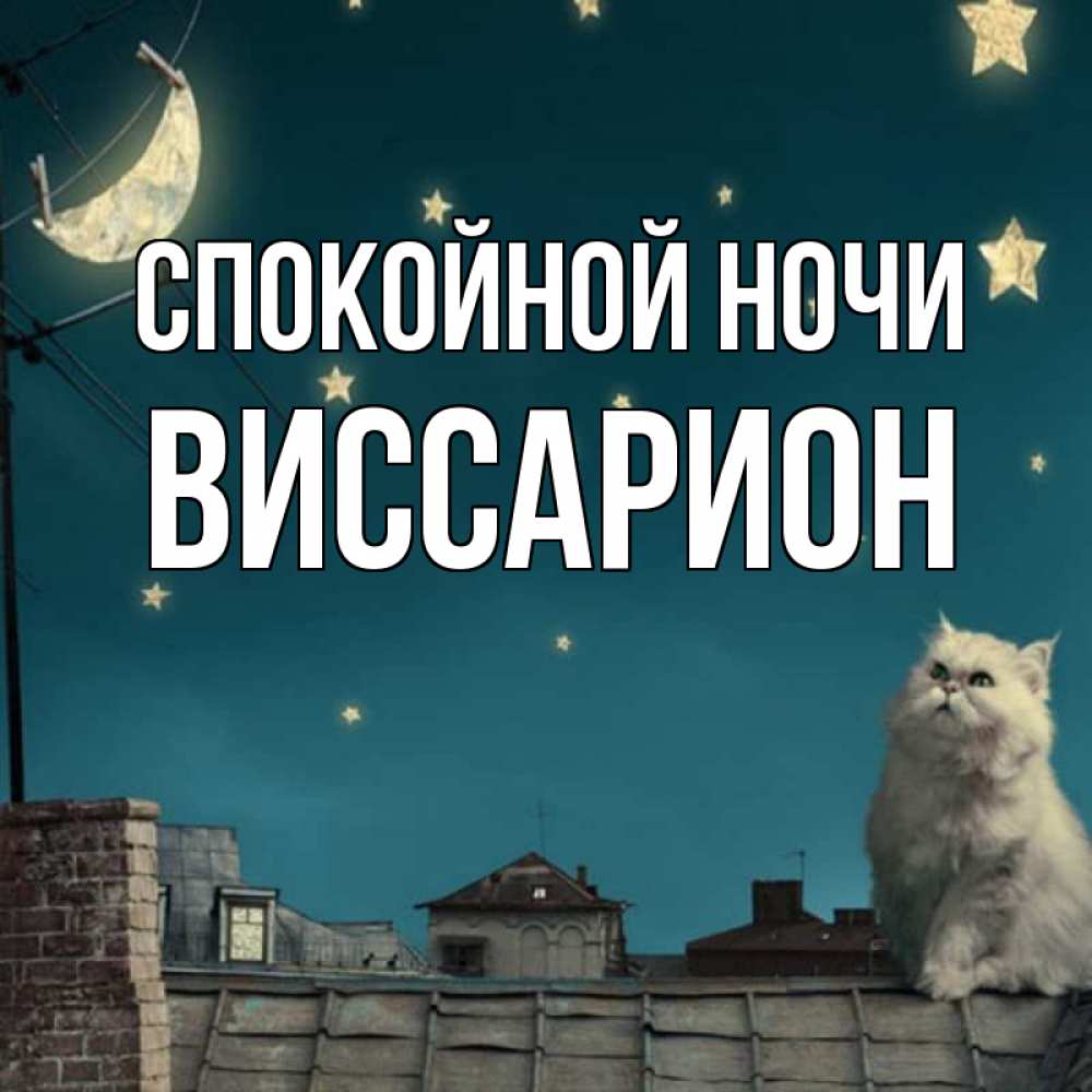 Открытка на каждый день с именем, Виссарион Спокойной ночи белый кот сидит на крыше Прикольная открытка с пожеланием онлайн скачать бесплатно 