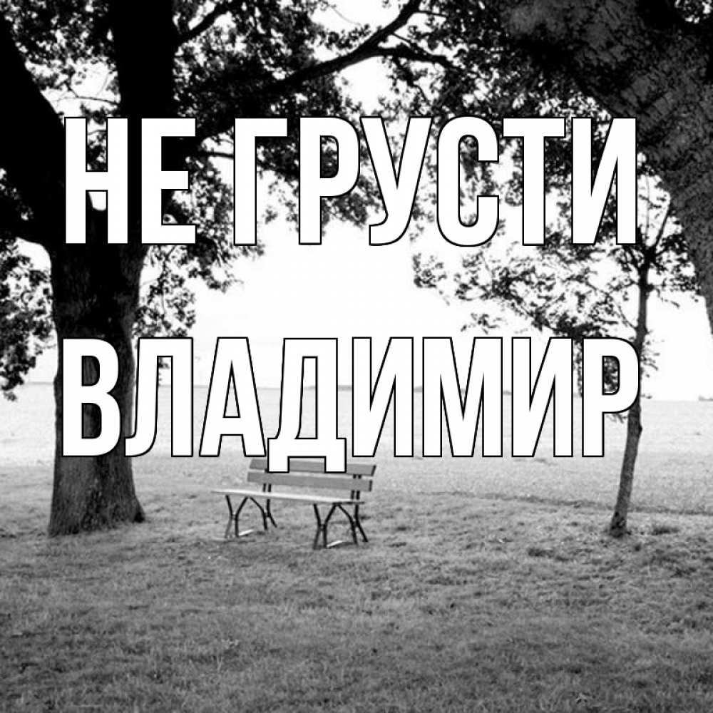 Открытка на каждый день с именем, Владимир Не грусти мощное дерево Прикольная открытка с пожеланием онлайн скачать бесплатно 