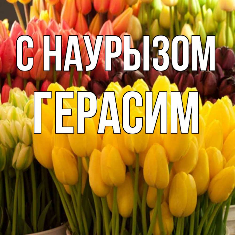 Открытка на каждый день с именем, Герасим С наурызом цветы Прикольная открытка с пожеланием онлайн скачать бесплатно 