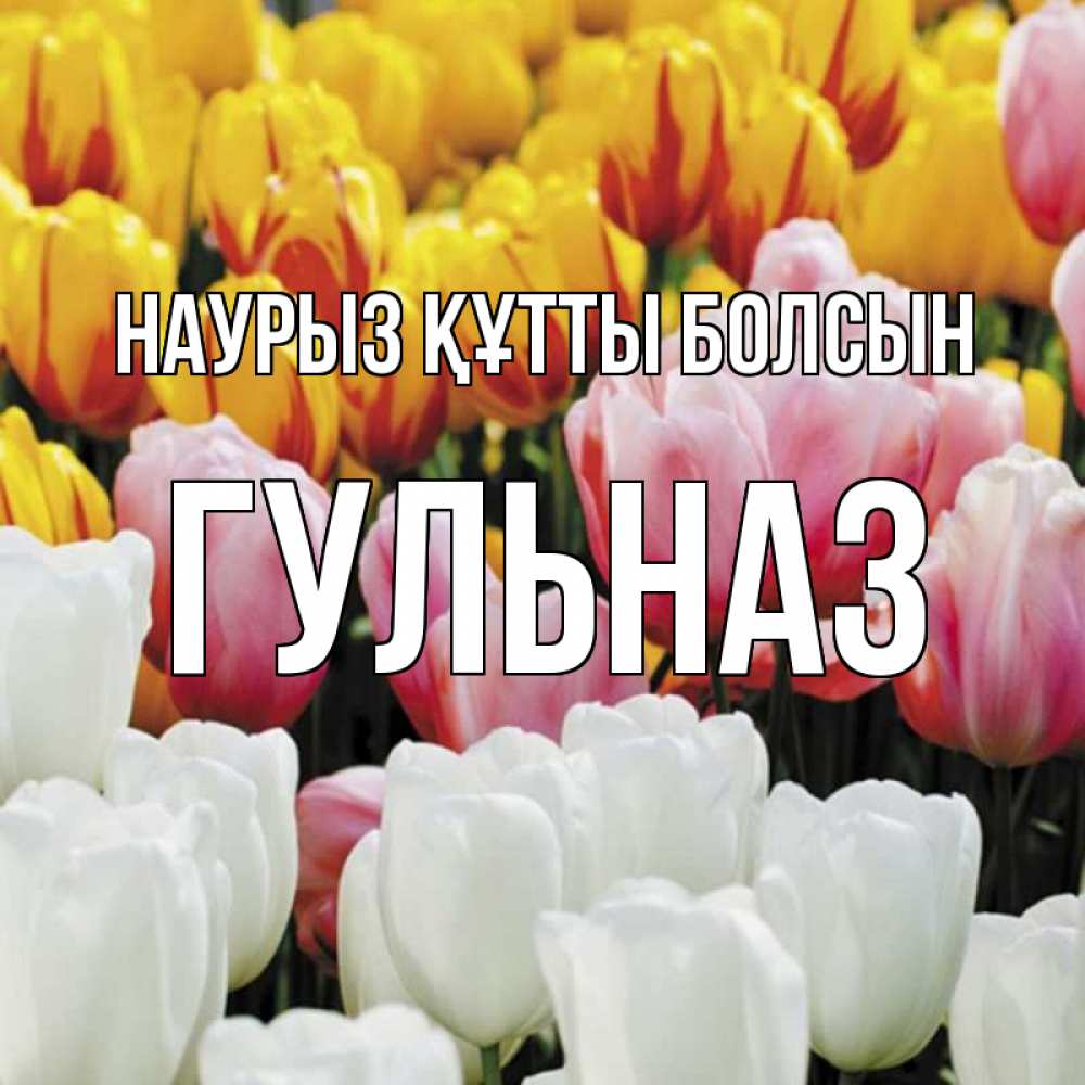 Открытка на каждый день с именем, Гульназ Наурыз құтты болсын разноцветные цветы Прикольная открытка с пожеланием онлайн скачать бесплатно 