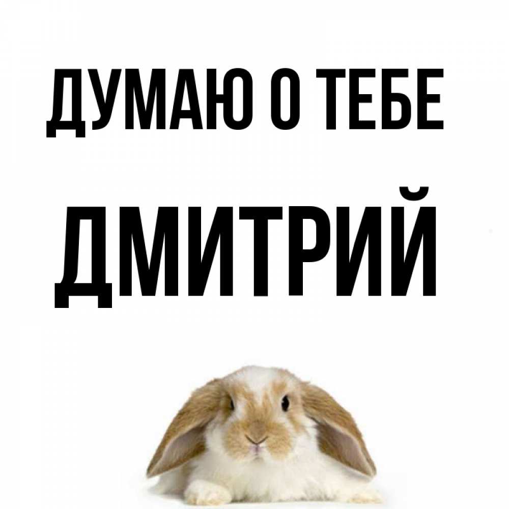 Открытка на каждый день с именем, Дмитрий Думаю о тебе подписать своими руками онлайн Прикольная открытка с пожеланием онлайн скачать бесплатно 