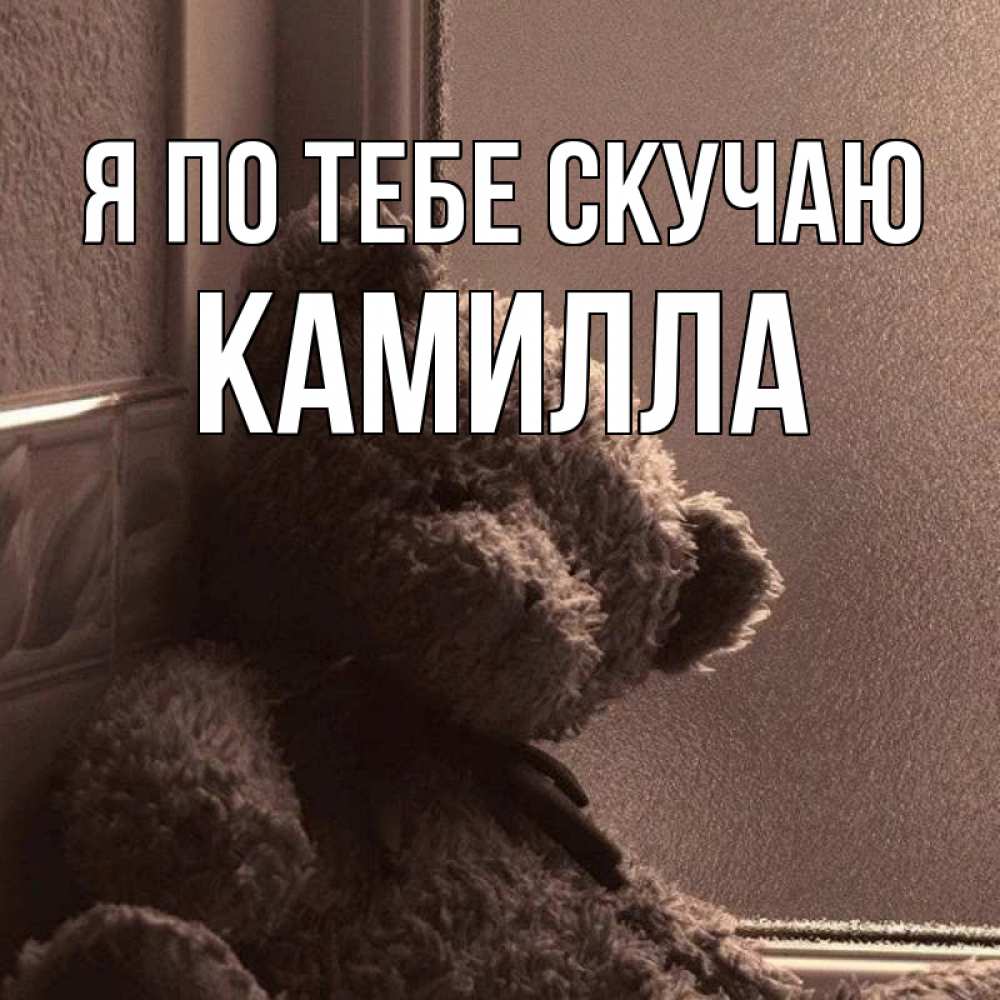 Открытка на каждый день с именем, Камилла Я по тебе скучаю скучаем тут Прикольная открытка с пожеланием онлайн скачать бесплатно 
