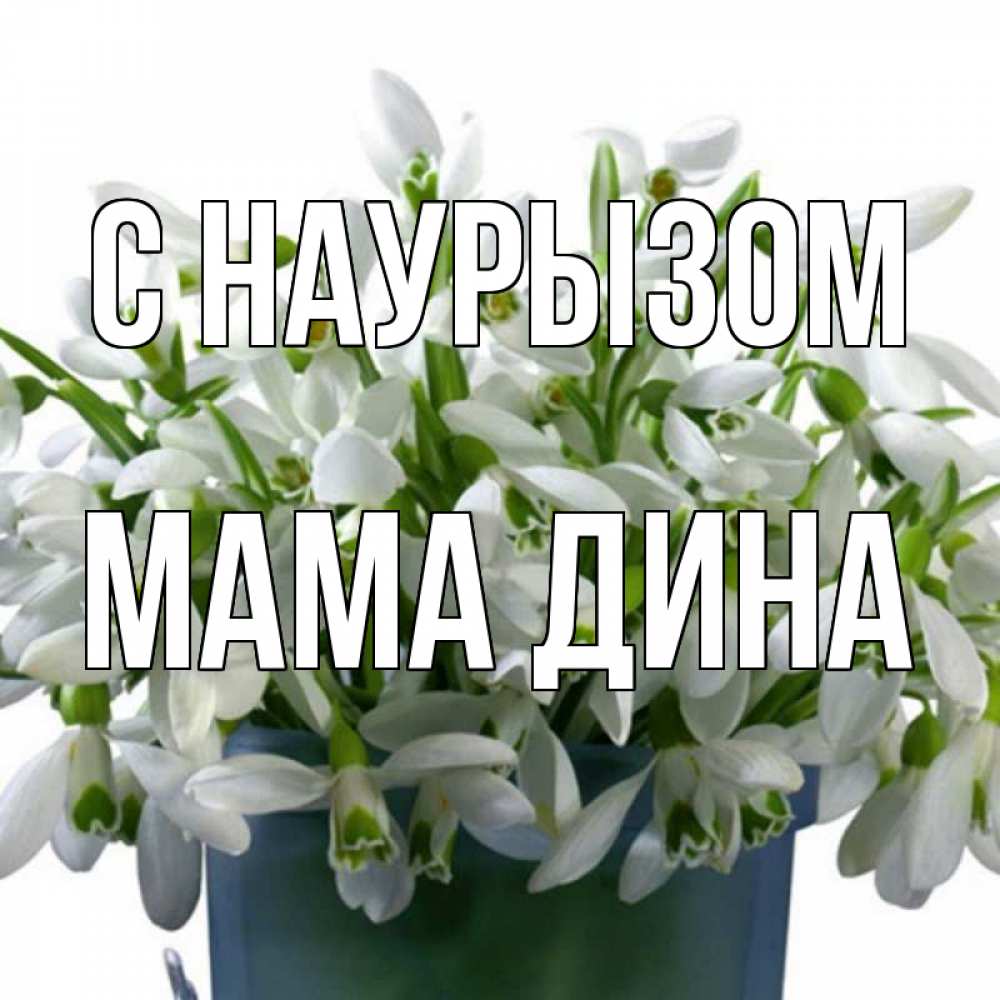 Открытка на каждый день с именем, Мама-Дина С наурызом цветы к наурызу новый год в Казахстане Прикольная открытка с пожеланием онлайн скачать бесплатно 