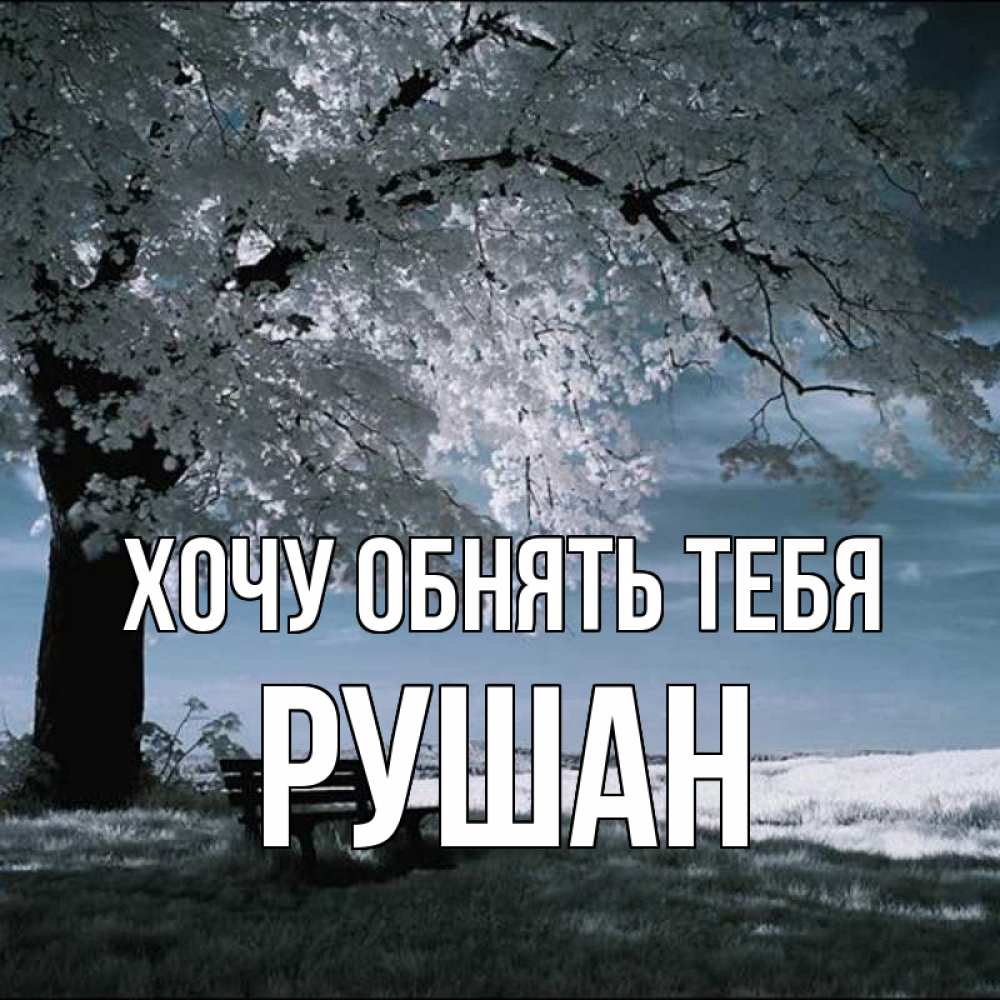 Открытка на каждый день с именем, Рушан Хочу обнять тебя дерево Прикольная открытка с пожеланием онлайн скачать бесплатно 